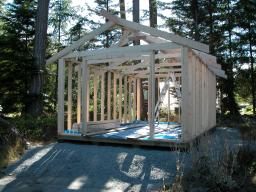 new shed - day 9